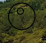 photo-dix2crop.webp