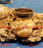 2016 Gold Ring #9.webp