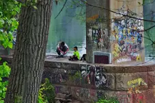 DSCN1650.webp
