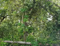 20160507_171210.webp