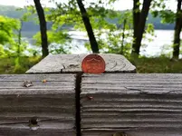 DSCN1660.webp