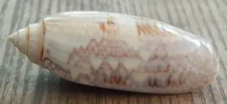 DSCN3569.webp