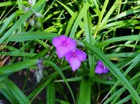 DSCN1690.webp