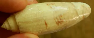 DSCN3573.webp