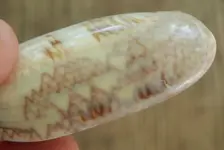 DSCN3574.webp