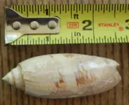 DSCN3575.webp