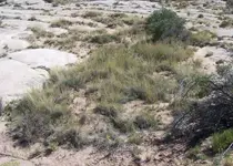 100_8113 Snip.webp