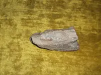 DSCF2174.webp