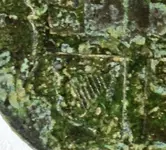ImageUploadedByTreasureNet.com1467513353.839336.webp