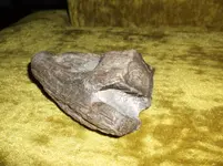 DSCF2176.webp