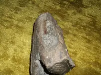 DSCF2178.webp