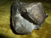 DSCF2177.webp