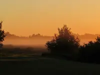 01.Morning Fog - 05.35am.webp