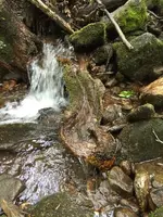 ImageUploadedByTreasureNet.com1463770632.282492.webp