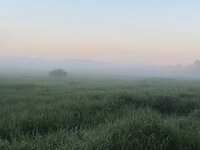 02.Morning Fog - 05.36am.JPG