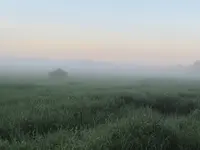 02.Morning Fog - 05.36am.webp