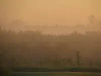 04.Morning Fog - 05.39am.webp