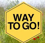 4415989-sign-symbol-Way-to-go-grass-Stock-Photo.webp
