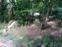 Photo0137.webp