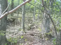 100_4167.webp