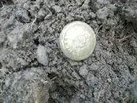 100_4165.webp