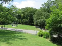 IMG_4550.webp