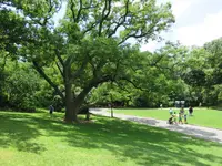 IMG_4551.webp