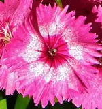 DSCN0332.webp