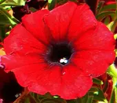 DSCN0335.webp