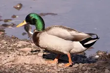 K1600_IMG_3726.webp