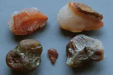 RiverRockAgates-2016-06-04-Img_1535SSS.webp