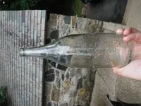 DSCF0114.webp