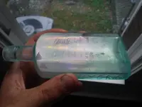 DSCF0237.webp