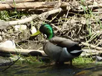 bike ride 060516 1.webp