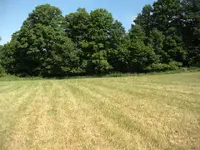 DSCN1169.webp