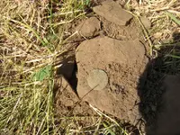 DSCN1170.webp