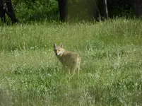 bike ride 060516 3.webp