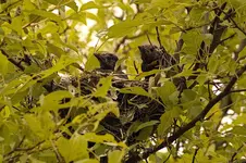K1600_IMG_7628.webp