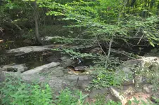 DSC_0025.webp
