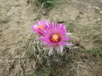 bike ride 060516 5.webp