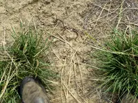 bike ride 060516 6.webp