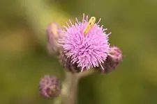 K1600_IMG_7676.webp