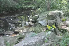 DSC_0027.webp