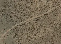 042 X Zoom.webp
