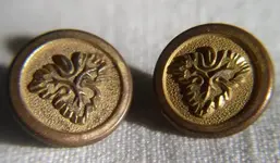 button oak leaf.webp