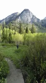 ImageUploadedByTreasureNet.com1465195125.150935.webp
