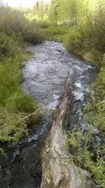 ImageUploadedByTreasureNet.com1465195134.338452.webp