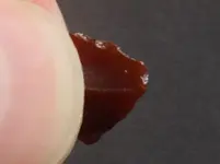 Agate-Img_1320SSSS.webp