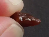 Agate-Img_1323SSSS.webp Agate-Img_1323SSSS.webp