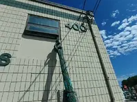 P6230036.webp